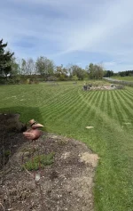 Garten.webp